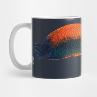 Potter’s Angelfish, Hawaii Mug